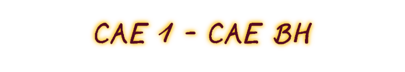 CAE 1 - CAE BH CAE 1 - CAE BH