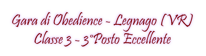 Gara di Obedience - Legnago (VR) Classe 3 - 3° Posto Eccellente